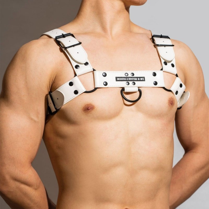 BDSMaster Harnais Chest All Blanc